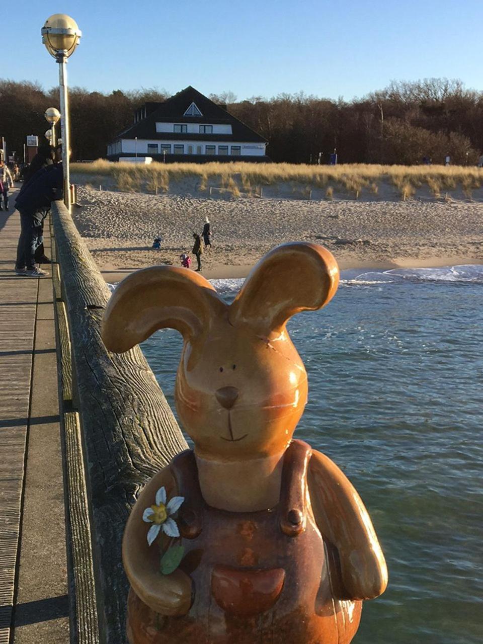 Hotel Ostseewoge Graal-Mueritz Dış mekan fotoğraf